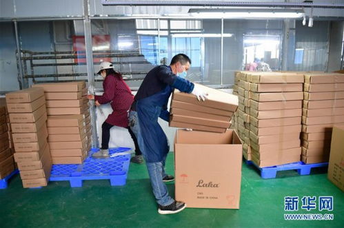 陜西城固樂器廠復(fù)工忙，樂器零售市場(chǎng)煥發(fā)新生機(jī)